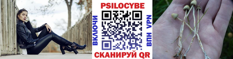 Псилоцибиновые грибы Magic Shrooms  цена   Приморск 